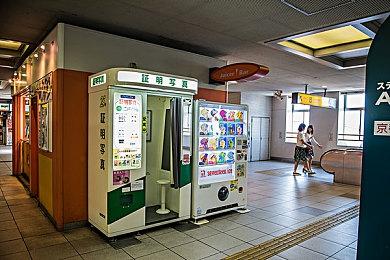 《昭和米国物语》官方暗示游戏能撸猫 放松心情