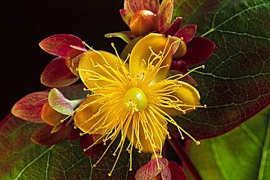 国产解密游戏《暗夜长梦》3月29日发售 登陆PS4及PS5